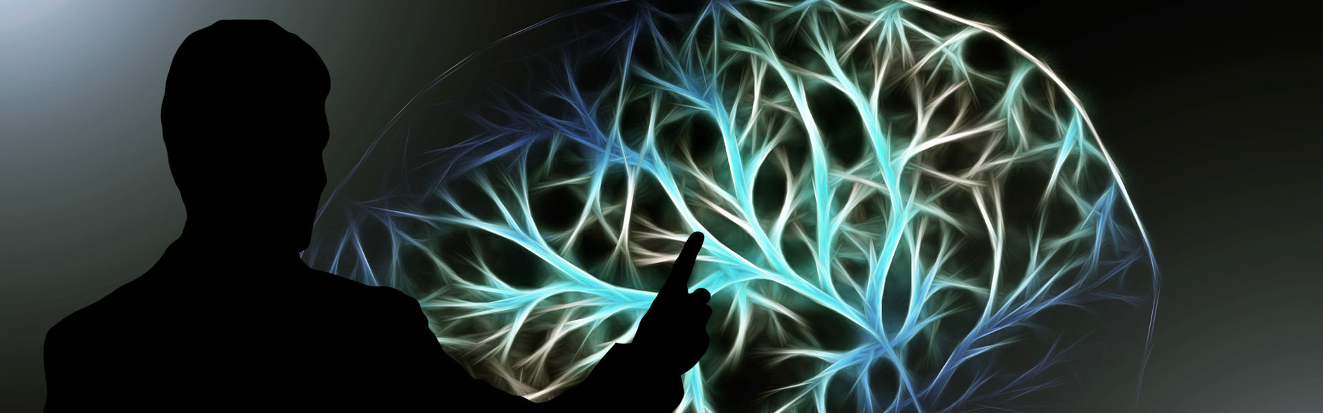 BT ve Kodlama Eğitimleri